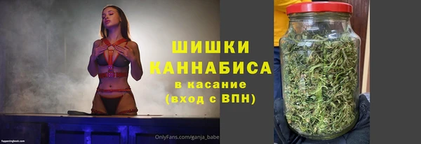 гашик Бородино