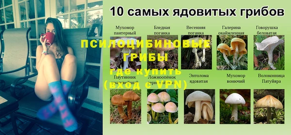 ALPHA PVP Покровск
