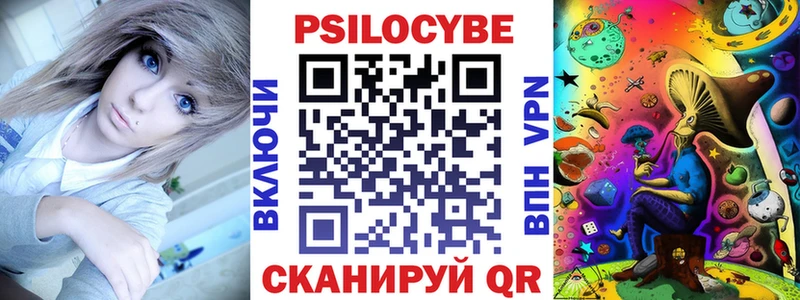 Псилоцибиновые грибы Psilocybe  Бор 
